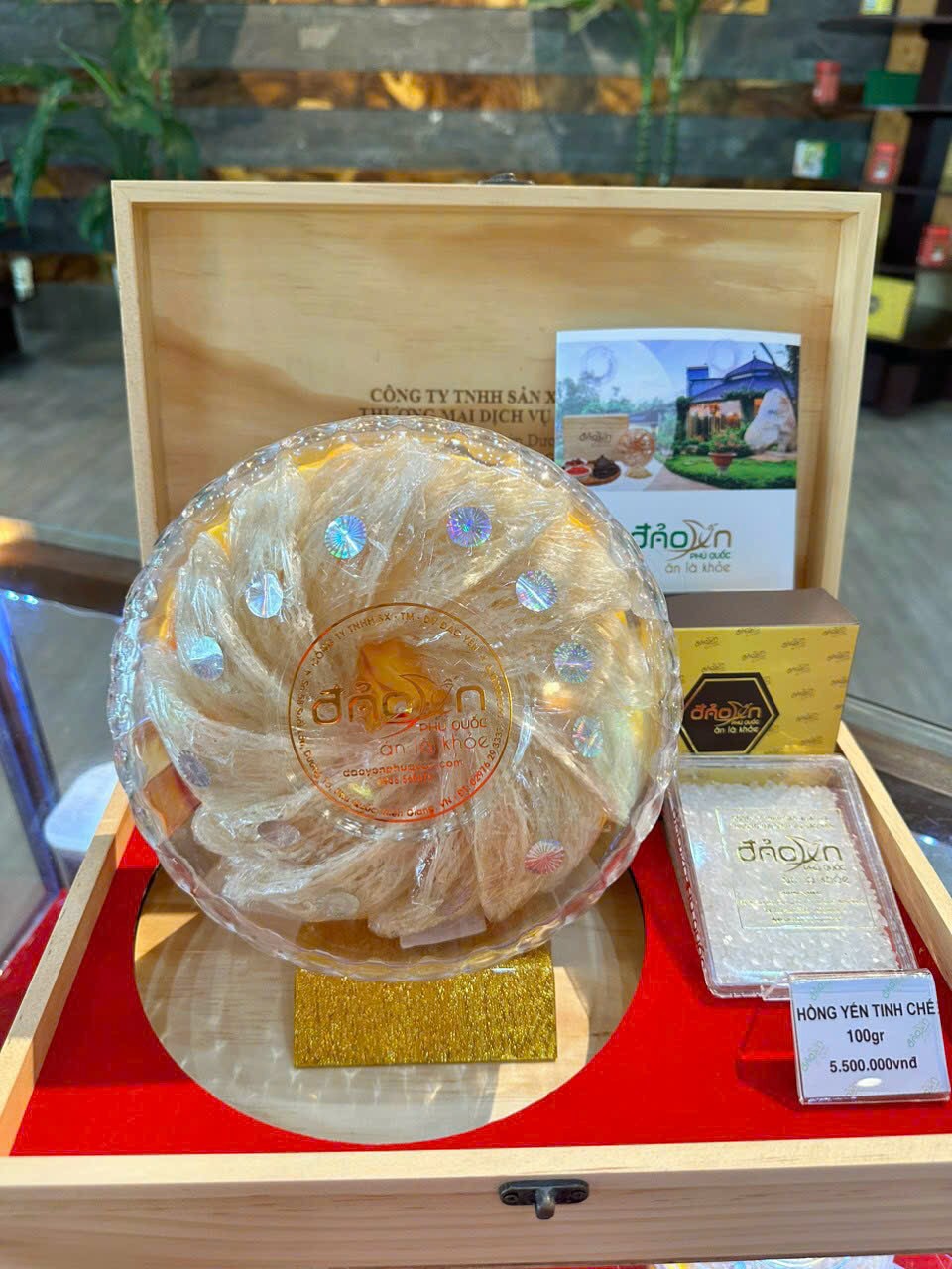 Yến Sào Phú Quốc