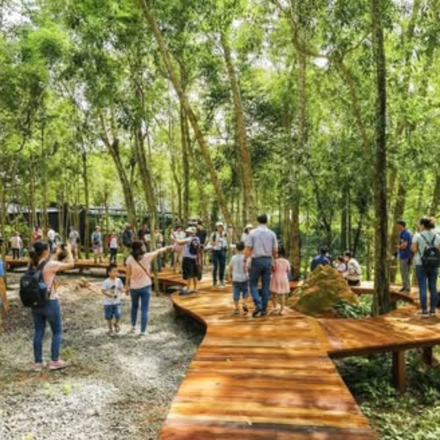 Nguồn gốc Trầm Cao Cấp Phú Quốc