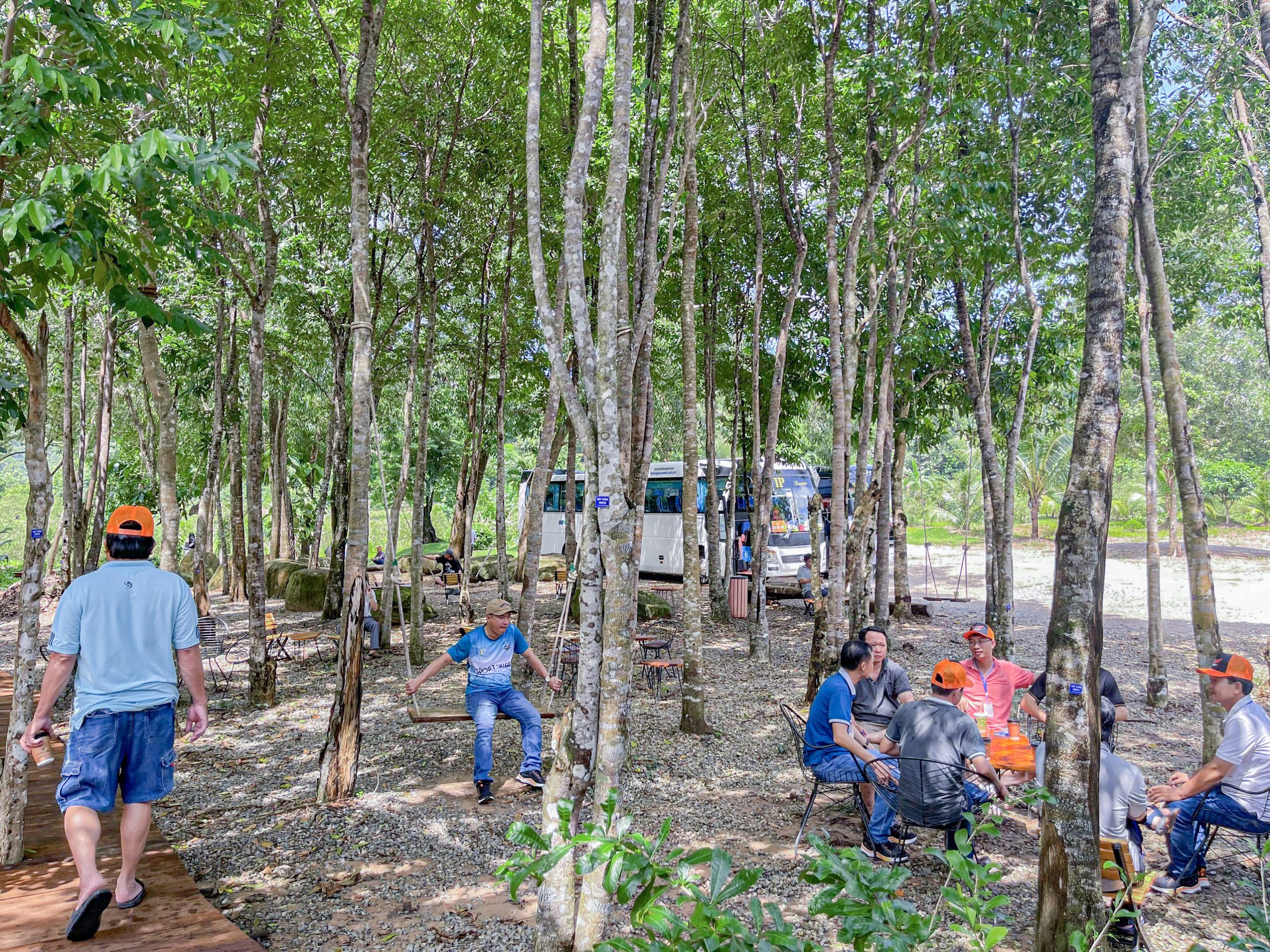 Rừng Trầm Hương