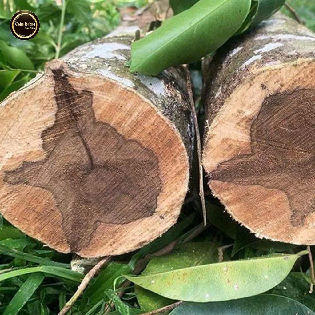 Chế Tác Trầm Hương
