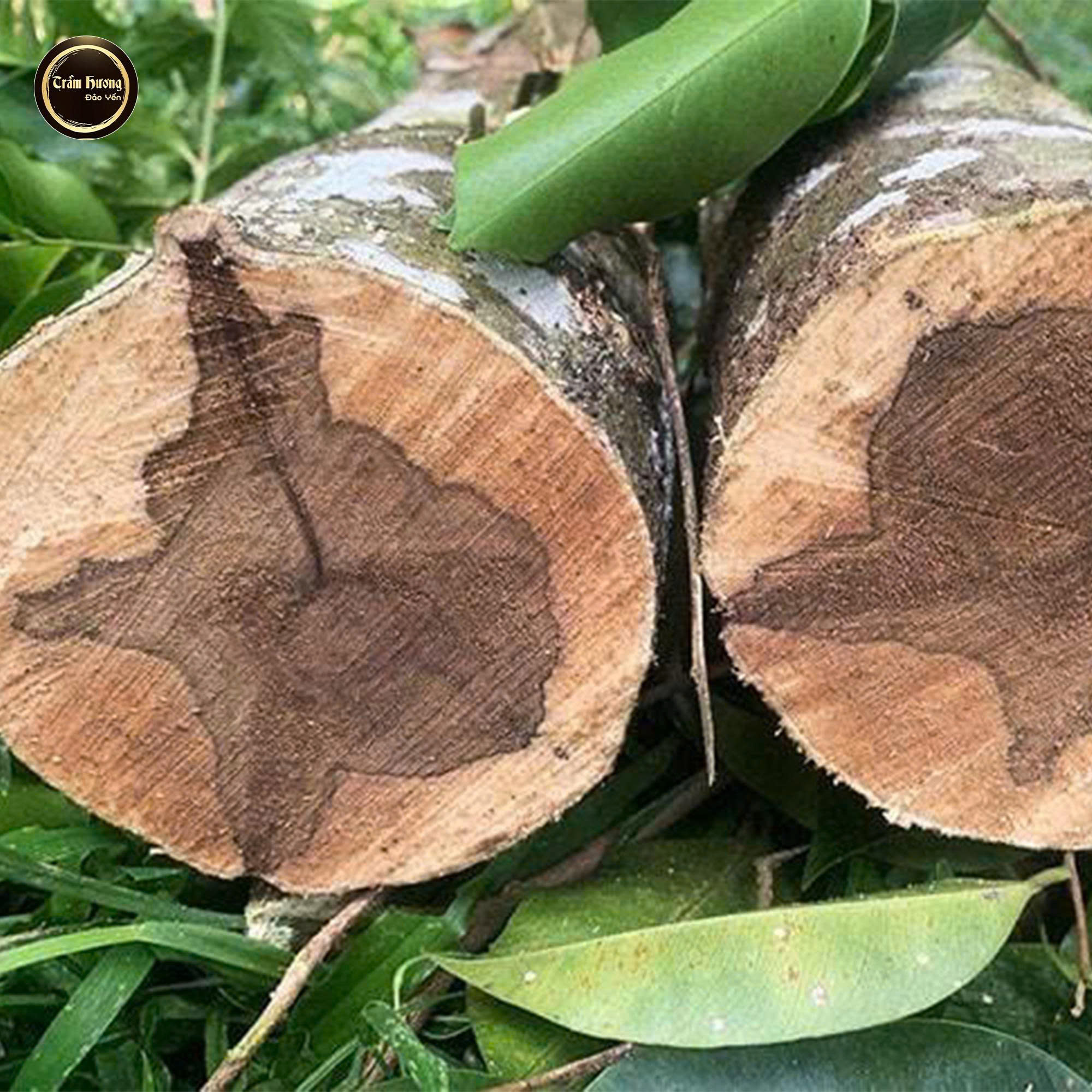 Chế Tác Trầm Hương