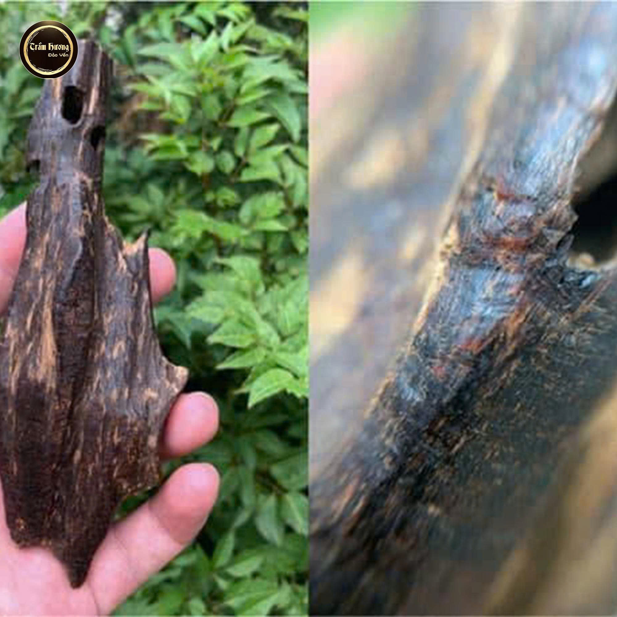 Chế Tác Trầm Hương